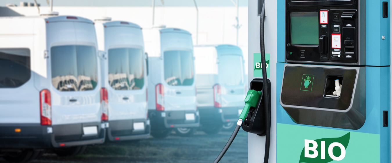 Can vehicles run on biofuel? Darling Ingredients Canada